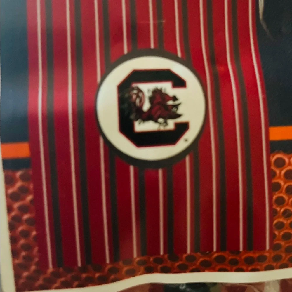 ✨USC Gamecock Laundry Bag✨New in package